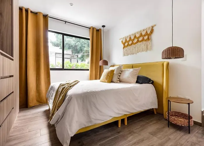Apartamento Depacarlota En La Roma Y Roof Garden *